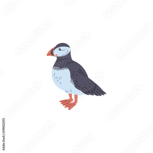 Standing puffin bird arctic animal flat style  vector illustration