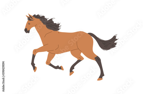 Horse racer galloping profile view flat vector illustration isolated on white. © sabelskaya