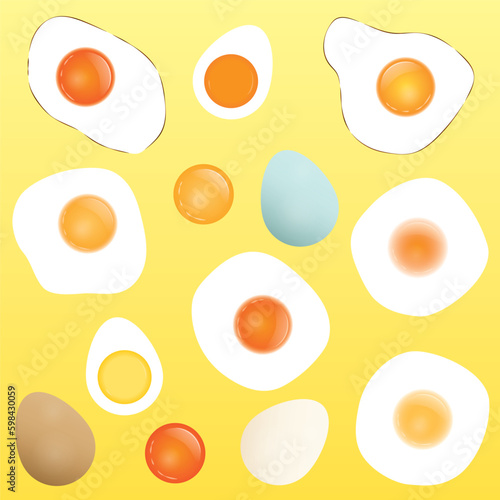 Vector illustration of eggs including sunny side up, poached, hard boiled, fried, and egg yolks