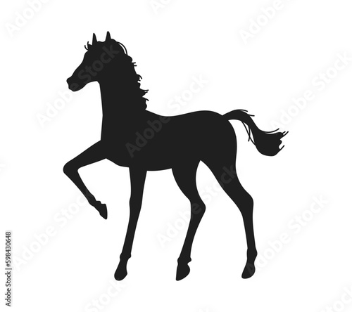 Horse foal black silhouette, flat vector illustration isolated on white background.