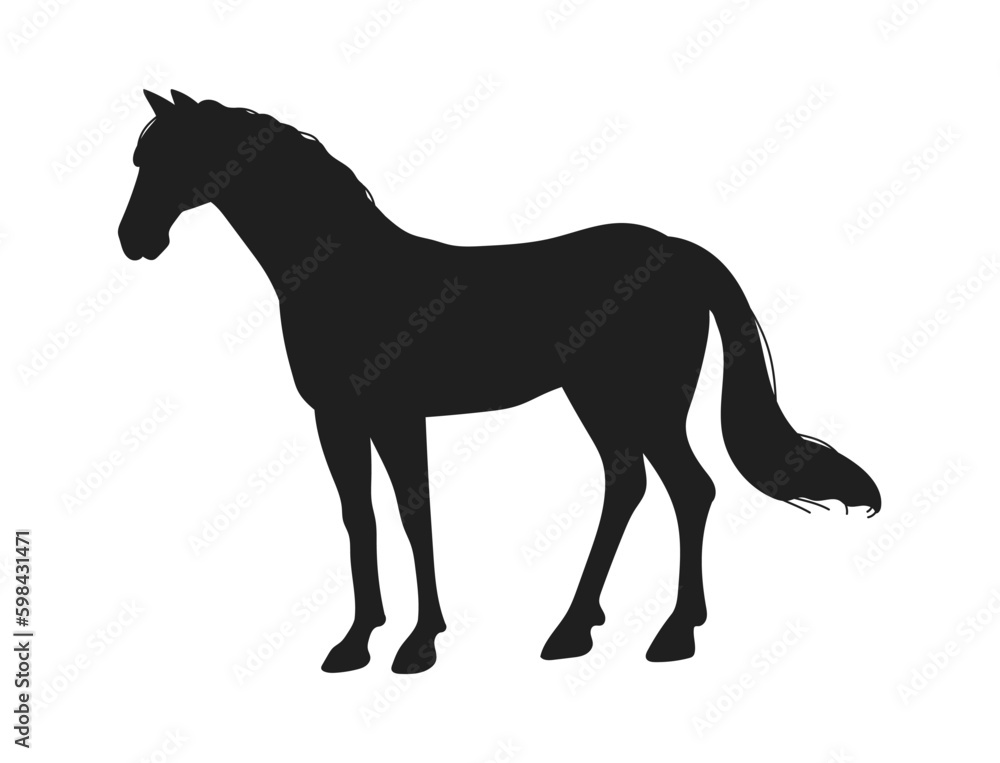 Black silhouette of standing horse, flat vector illustration isolated on white background.
