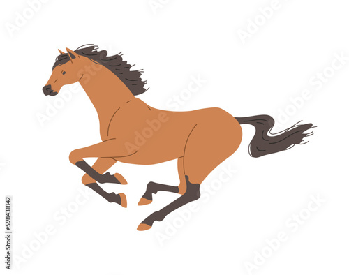 Racing horse profile view, flat vector illustration isolated on background.