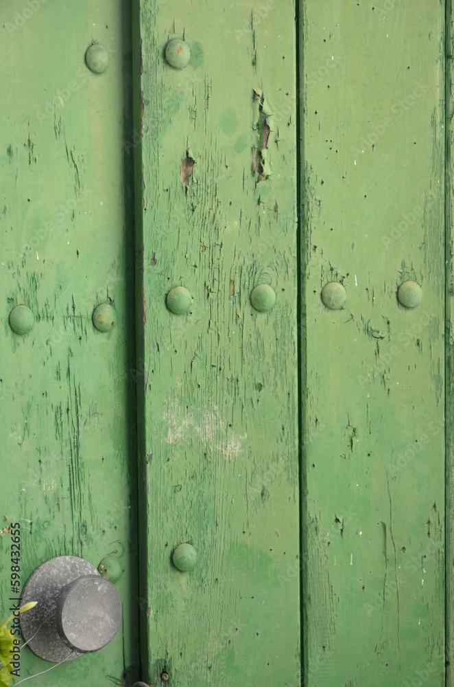 Fototapeta premium puerta verde