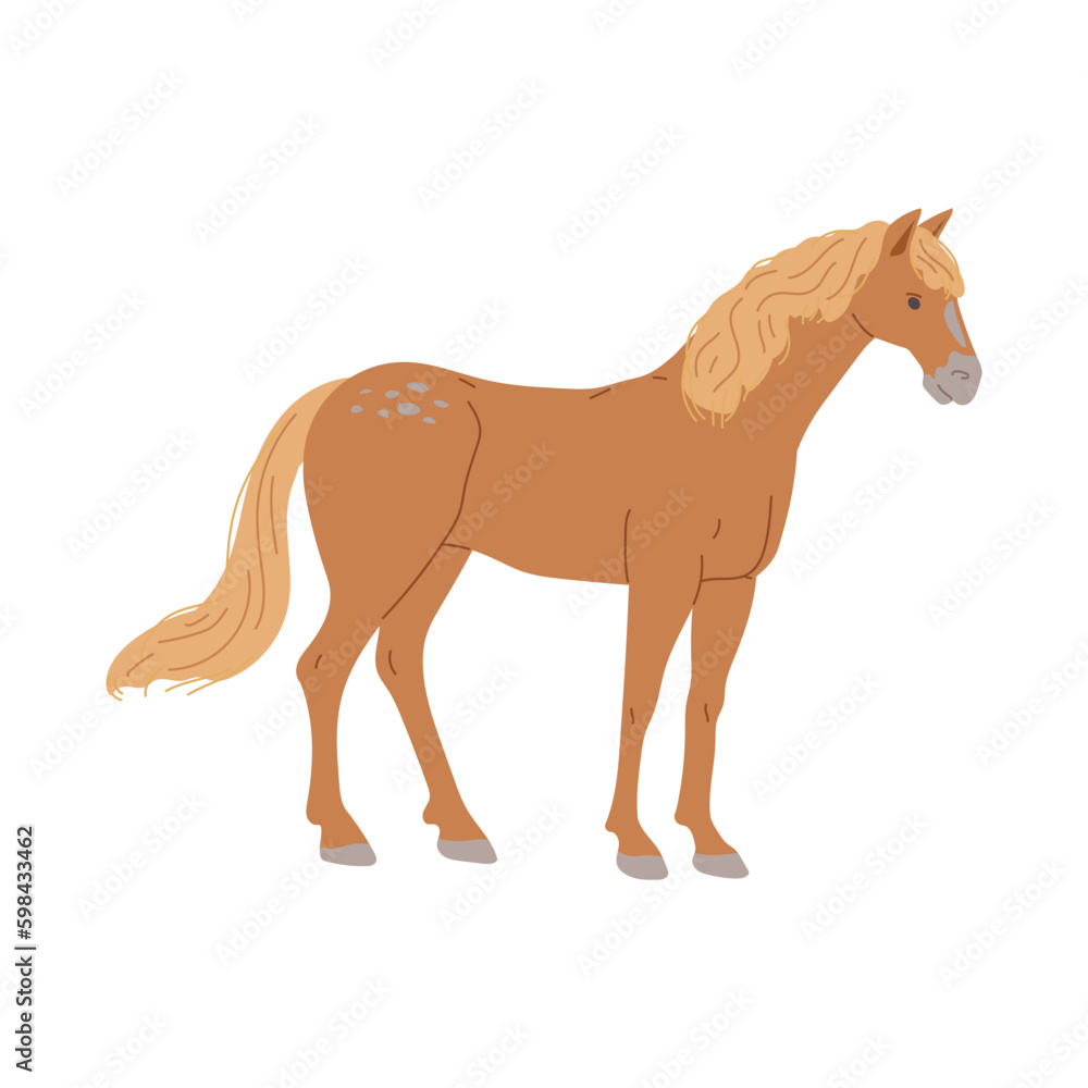 Standing brown horse with yellow mane and tail flat style