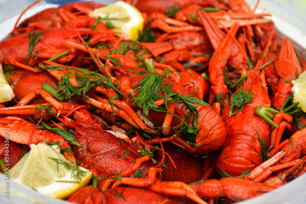 Cooked red boiled crayfish in a plate. Close-up of crayfish with herbs and lemon. Cooked red boiled crayfish in a plate. Close-up of crayfish with herbs and lemon.