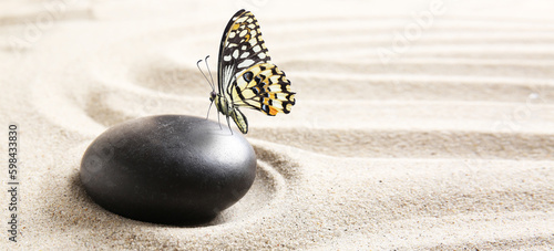 Photography Butterfly with stone on sand with lines. Zen concept