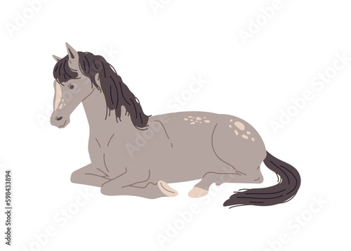Gray horse lying, flat vector illustration isolated on white background.