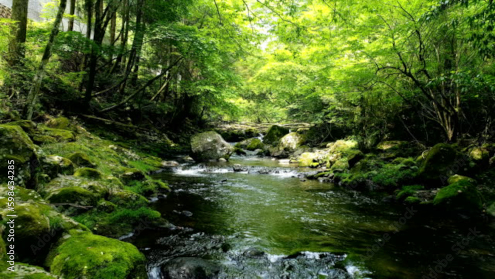 landscape of clear stream landscape of clear stream