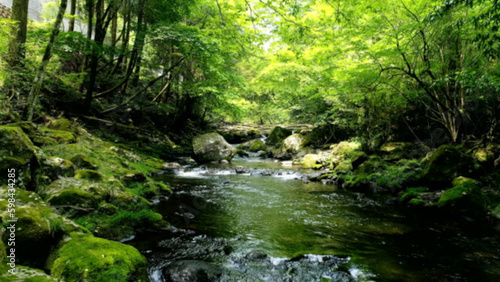 landscape of clear stream