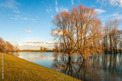 Almost bare trees in early morning sunlight. The trees are reflected in the water that has flooded the area. The photo was taken on a sunny winter day in the Dutch province of North Brabant.