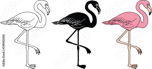 Flamingo Clipart Set - Outline, Silhouette	 & Pink Color
