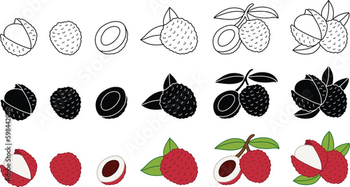 Lychee Fruit Clipart - Outline, Silhouette & Color