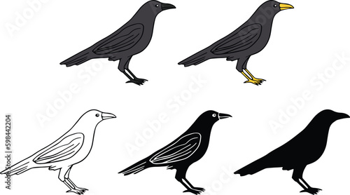 Crow or Raven Bird Standing Clipart Set - Outline, Silhouette & Color
