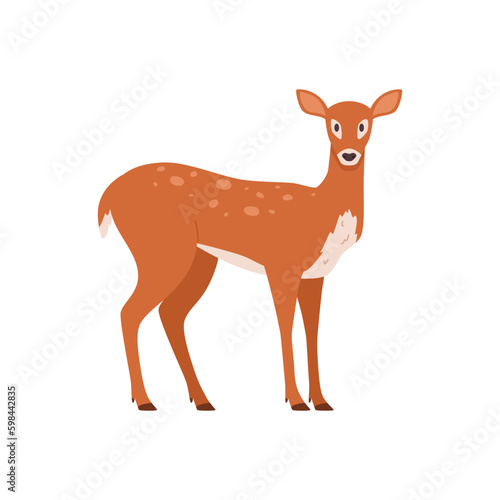 Cute female deer standing, cartoon flat vector illustration isolated on white background.