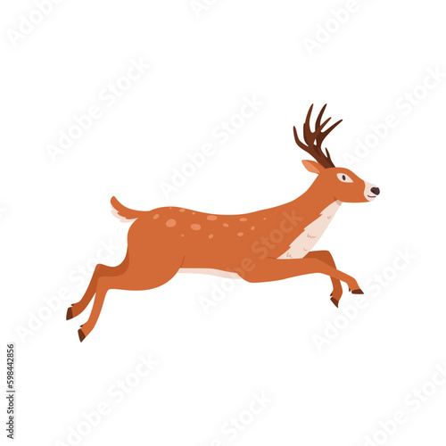 Running horned forest deer or reindeer  flat vector illustration isolated.