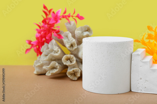 Decorative plaster podiums, coral and seaweed on yellow background