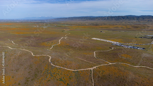 Quadro su tela Aerial View of Antelope Valley Poppy Reserve, Lancaster, California