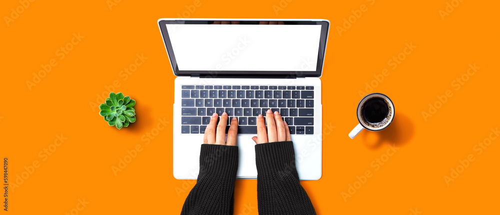 Person using a laptop computer - obrazy, fototapety, plakaty 