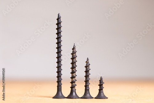 black screws on a wooden surface sorted by size