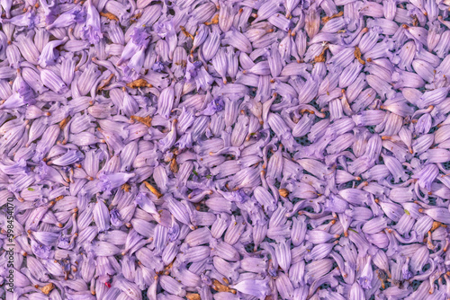 Fotografia Textura de pétalos de flores de cerca, color lila de