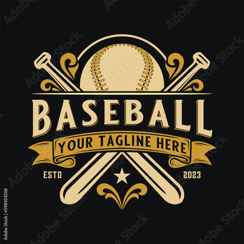 baseball sport logo. with vintage style ornaments. perfect for baseball teams