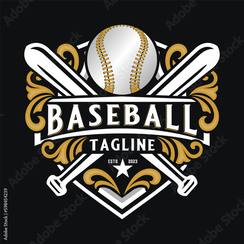 baseball sport logo. with vintage style ornaments. perfect for baseball teams