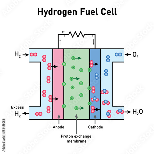 Schematic diagram of hydrogen fuel cell. Electrochemical cell. Vector illustration isolated on white background.