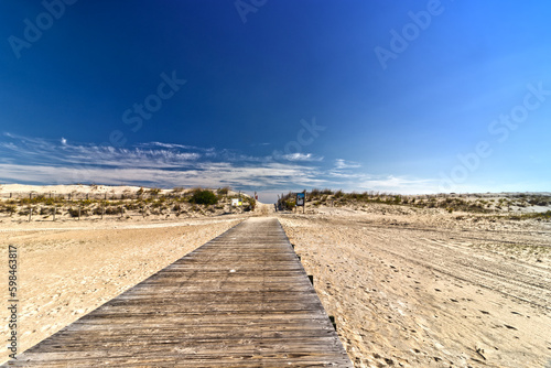 Board walk leads to a bright afternoon beach setting - Assateague, MD, USA