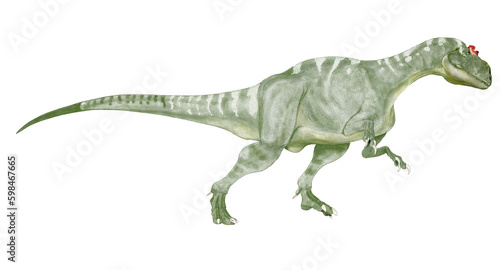 中生代ジュラ紀後期（約1億5,500万 - 1億4,500万年前）の北アメリカに生息していた大型肉食獣脚類である。同時代の食物連鎖の頂点にいた恐竜の一つ。アロサウルスは大きな頭、短く太い首、長く重厚な尾、後肢に比べて短い上肢といった特徴を持つ典型的な大型獣脚類である。アロサウル上科には多くの大型恐竜が属している。 © Mineo