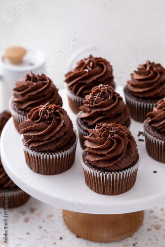 Chocolate cupcakes with dark chocolate frosting and sprinkles