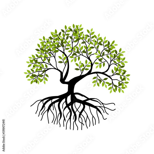 tree and roots vector illustrations, mangrove tree