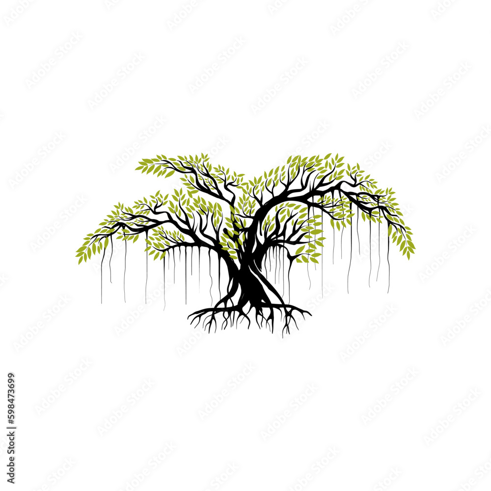 tree vector illustration. roots of banyan tree. mangrove plant Stock ...