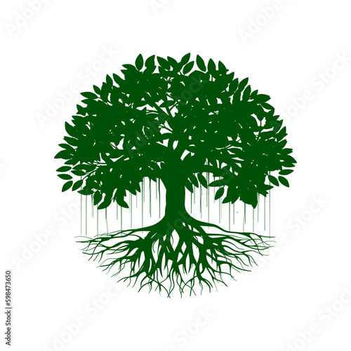 Banyan tree vector illustration. roots of banyan tree.