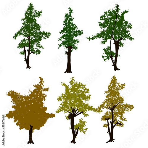Foto Trees with transparent background.