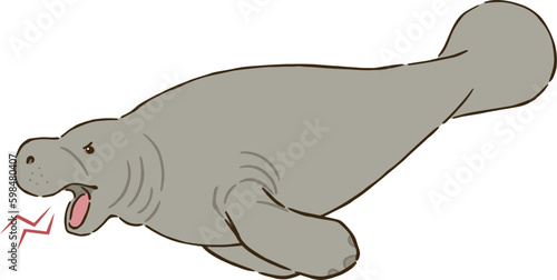 怒るマナティー