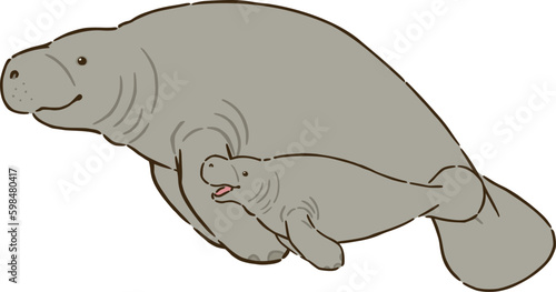 マナティーの親子