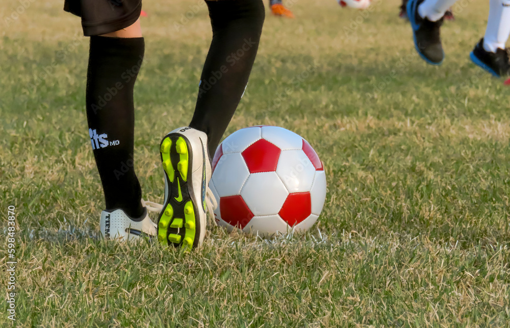 Foto de Calgary, Alberta, Canada. May 1, 2023. A close up to a young