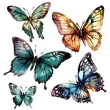 Set of butterflies illustration. Butterfly Sublimation Design