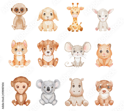 Photography Cute cartoon baby animals isolated on white