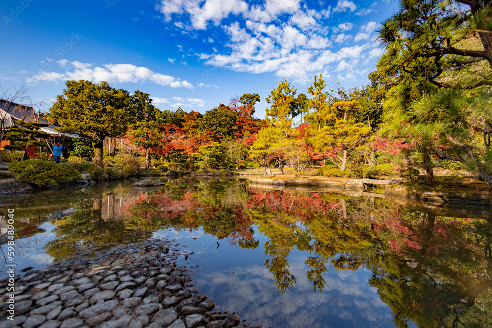 紅葉した木々がが映る池
