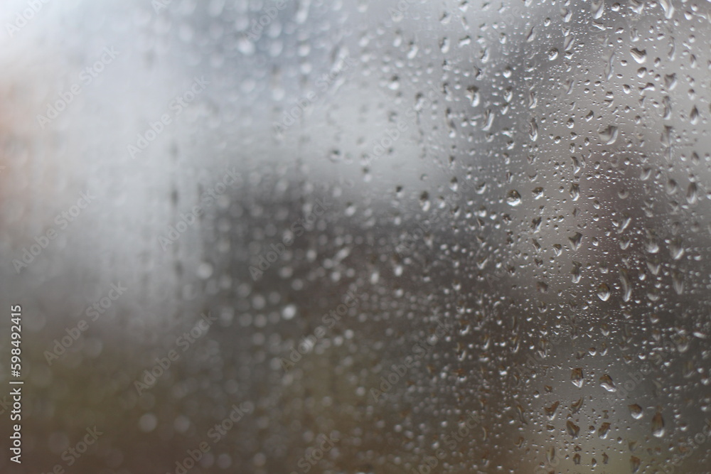 rain drop on window