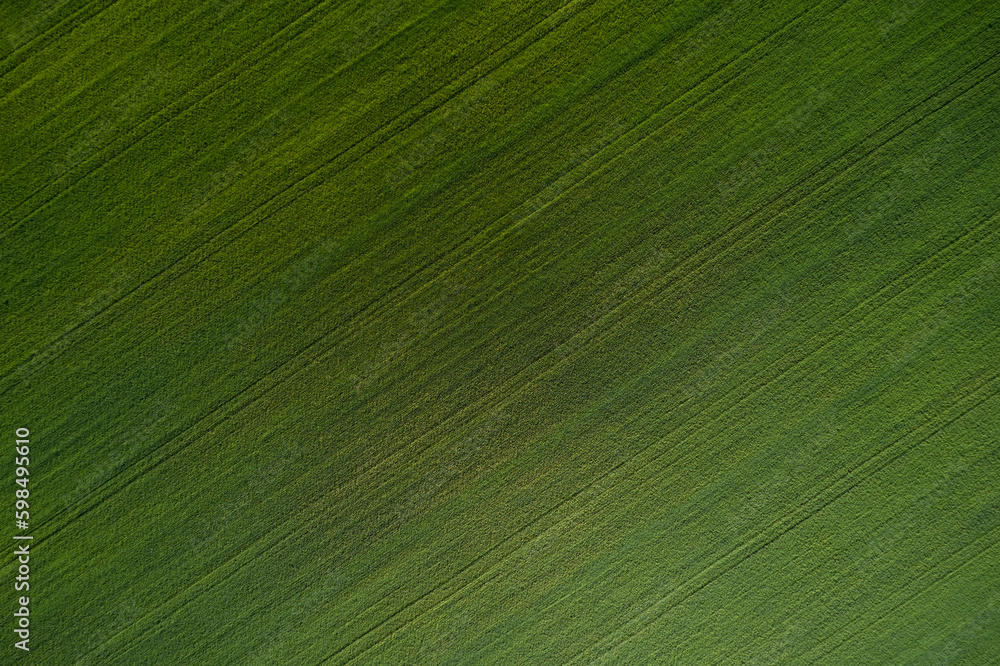 Top view of the football field. Aerial view of a grass plantation. Plantation green grass top view. Green grass soccer field background. Top view of the football field. Aerial view of a grass plantation. Plantation green grass top view. Green grass soccer field background.
