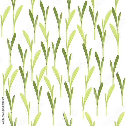 Fototapeta Naklejka Na Ścianę i Meble -  Seamless pattern microgreen superfood sprouts corn healthy nutrition vector illustration on white background