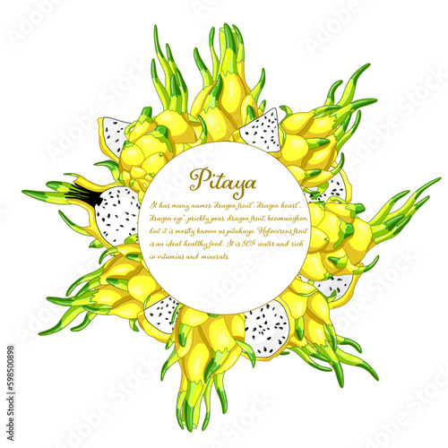 Dragon fruit tasty circle frame. Sweet dessert of tropical cactus. Exotic pitaya design. Fresh pitahaya exotic food. Yellow juicy slices of vitamin