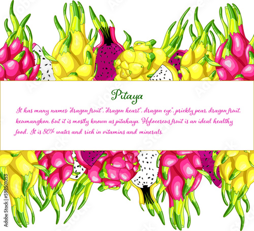 Tasty dragon fruit frame. Yellow pitaya design element. Exotic pink pitahaya vector illustration. Delicious cactus pieces of vitamins