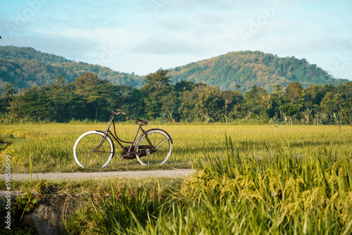 classic onthel bicycles that are displayed on village roads around the rice fields photo