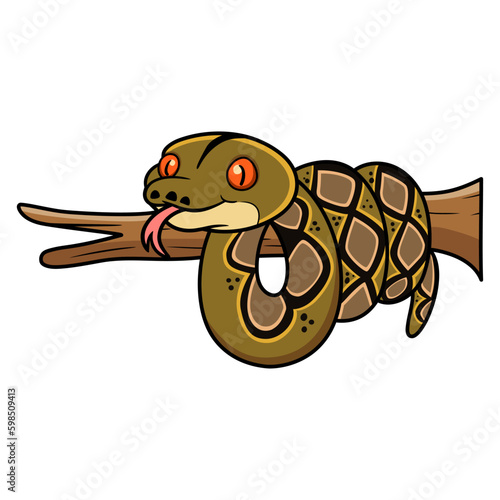 Cute reticulatus python cartoon on tree branch