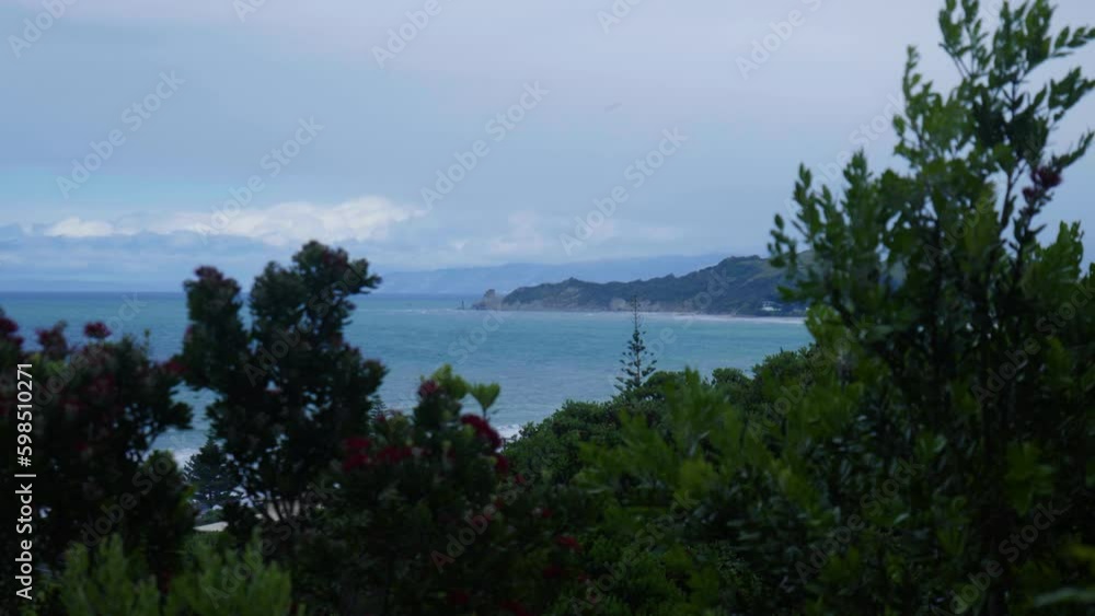 View of Wainui Beach through trees blowing in the wind. View of Wainui Beach through trees blowing in the wind.