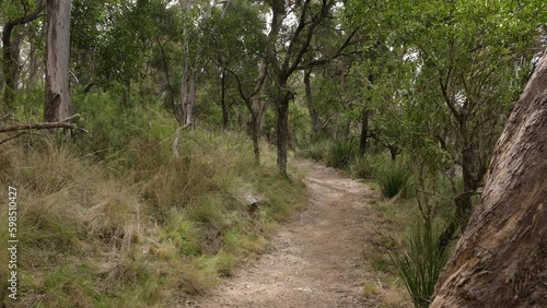 Hand held shot of Wollomombi Falls track, Oxley Wild Rivers National Park, New South Wales, Australia. photo