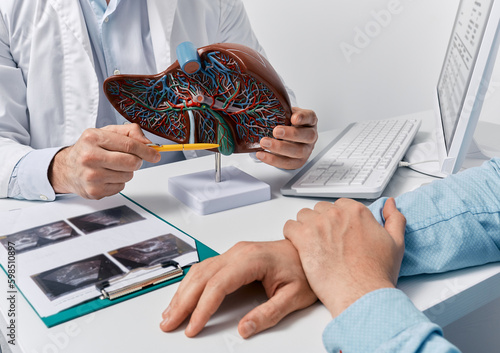 Human liver model on doctor's table, close-up. Treatment of hepatitis, cirrhosis and liver cancer photo